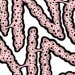 Killing Brain Cells